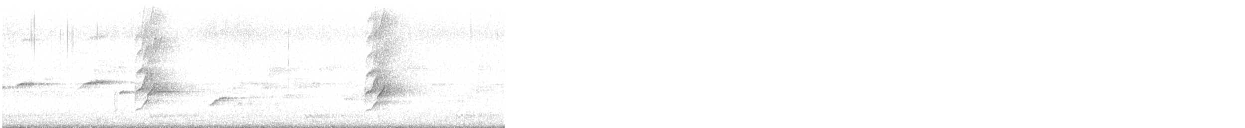 Perruche à tête prune - ML647871117