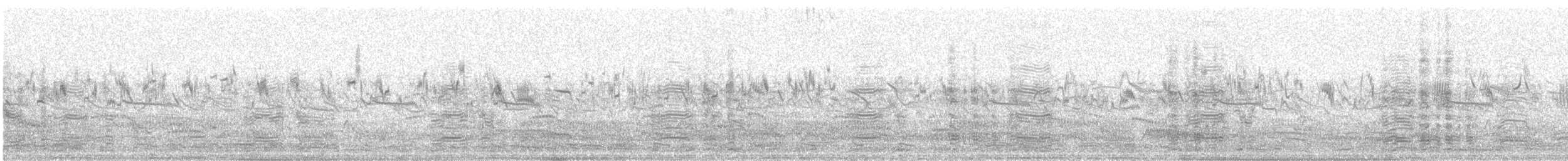 Серый гусь - ML647871585