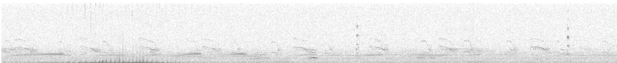 Common Tern - ML647871715