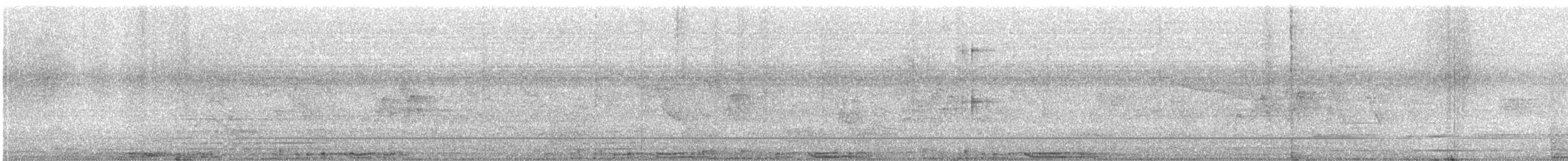 Rock Pigeon (Feral Pigeon) - ML647871952