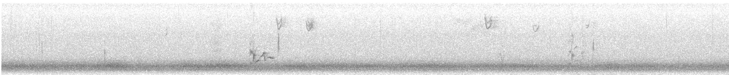 Чечевиця кармінова - ML647872258