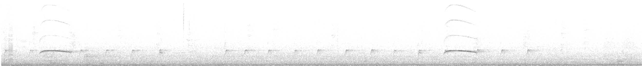 Піві великий - ML647872273