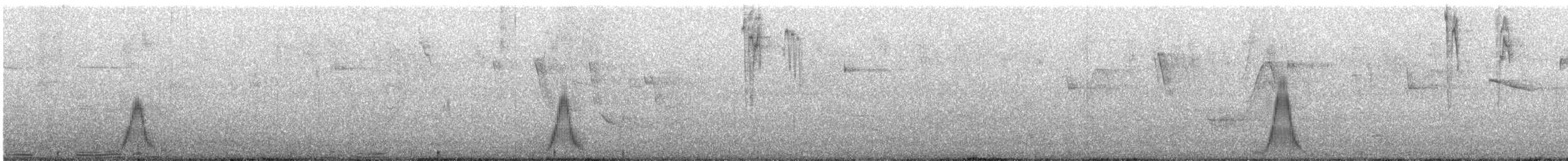 Талпакоті сіроголовий - ML647872492