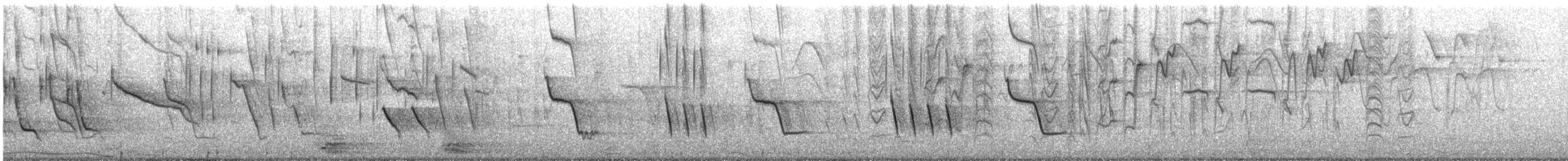 Scrub Blackbird - ML647872502