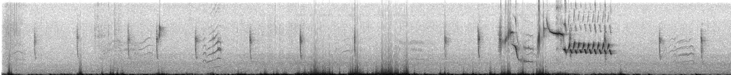 Fox Sparrow (Slate-colored) - ML647872868