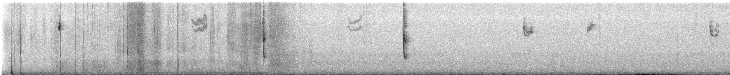 Fox Sparrow (Slate-colored) - ML647872869