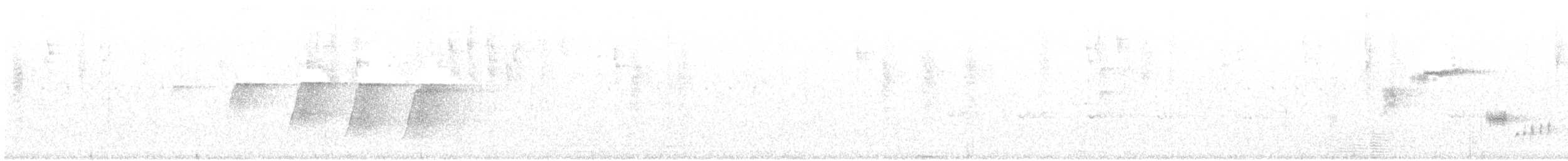 Rufous Scrub-bird - ML647873101