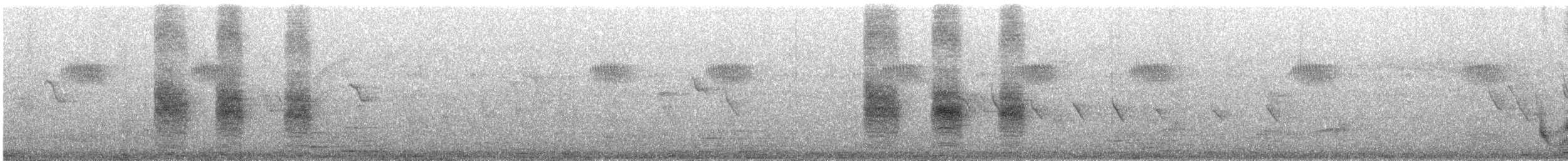 Black-backed Puffback - ML647873653