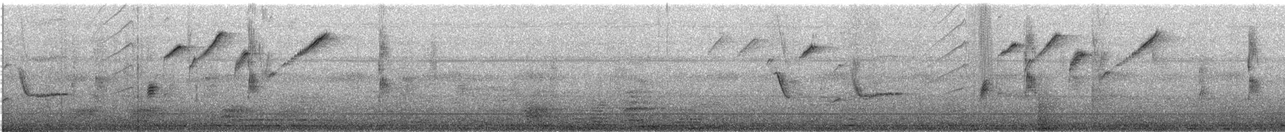 Southern Cordonbleu - ML647873738