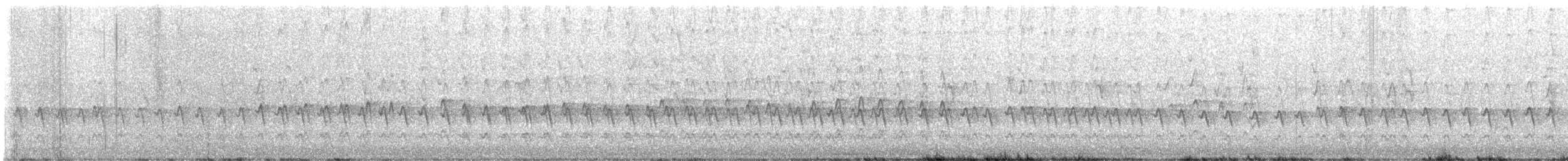 White-plumed Honeyeater - ML647873843