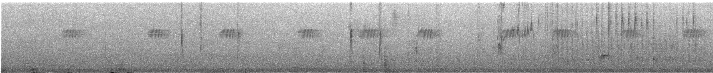 Black-winged Bishop - ML647873983