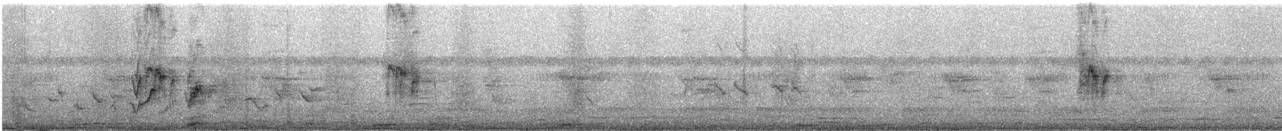 House Sparrow - ML647873996