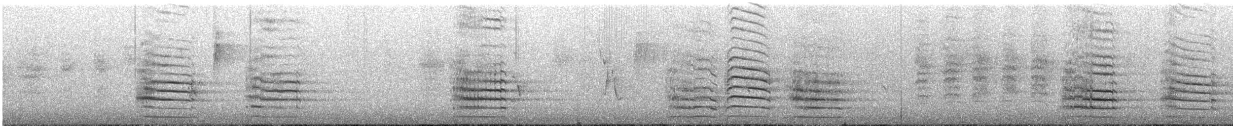 Red-tailed Black-Cockatoo - ML647874356