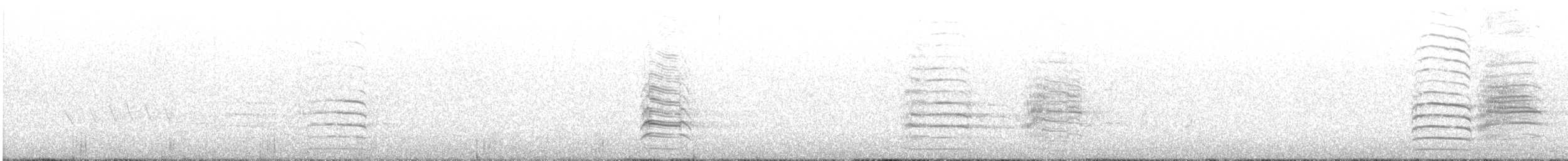 kakadu havraní - ML647874873