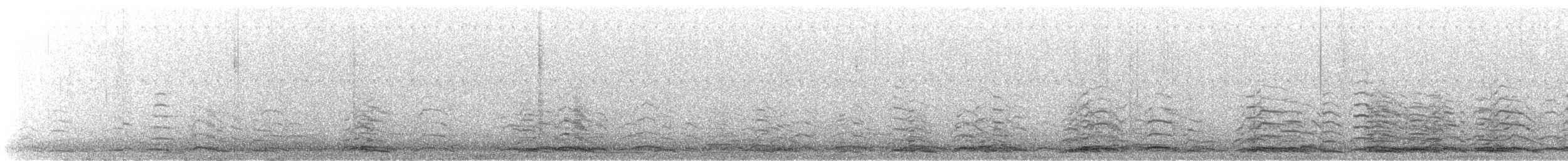 labuť malá (ssp. columbianus) - ML647874888