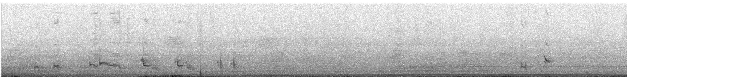 drozdec dlouhoocasý - ML647874901