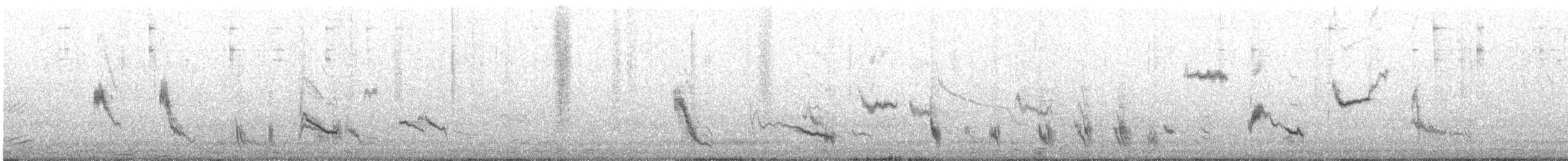 drozdec dlouhoocasý - ML647874957