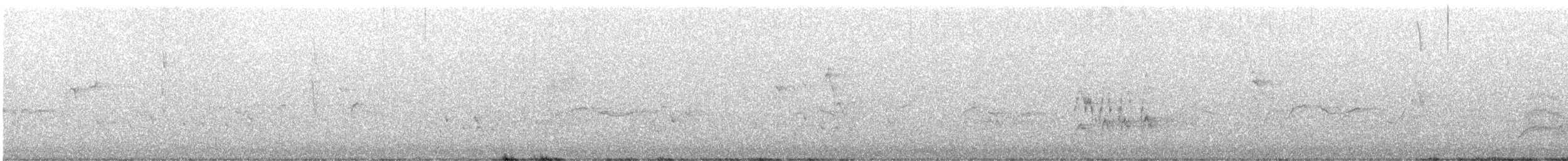 rosela zpěvavá - ML647875019