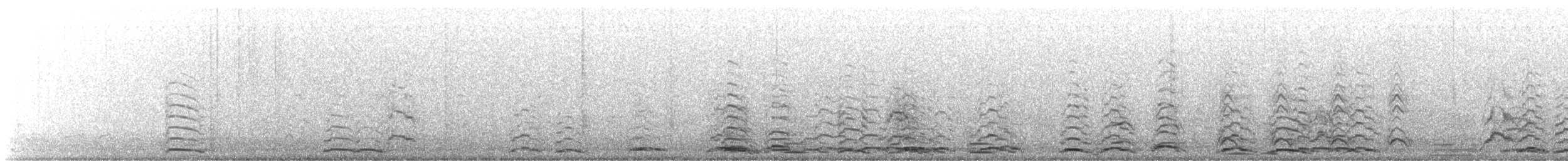 Zwergschwan (Pfeifschwan) - ML647875150