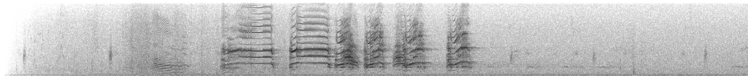 racek kroužkozobý - ML647875452