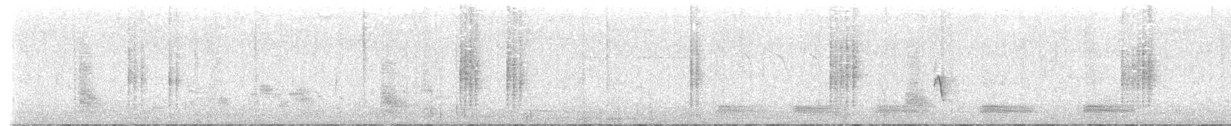 rákosník tlustozobý - ML647875551