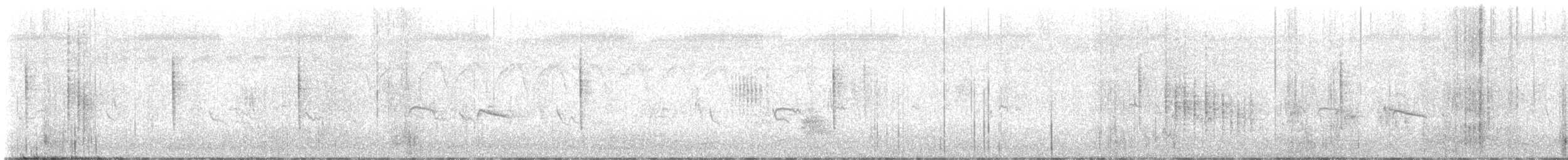 budníček temný - ML647875562