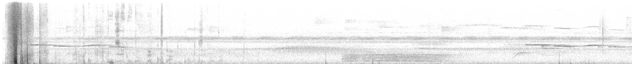 Cordillera Azul Antbird - ML647875736