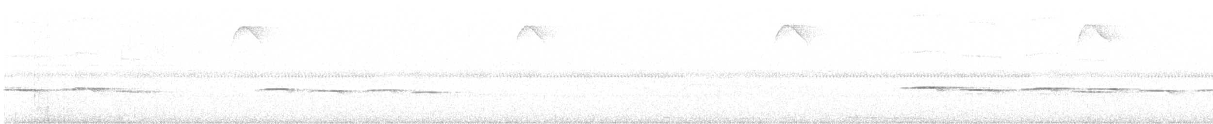 Cordillera Azul Antbird - ML647875739