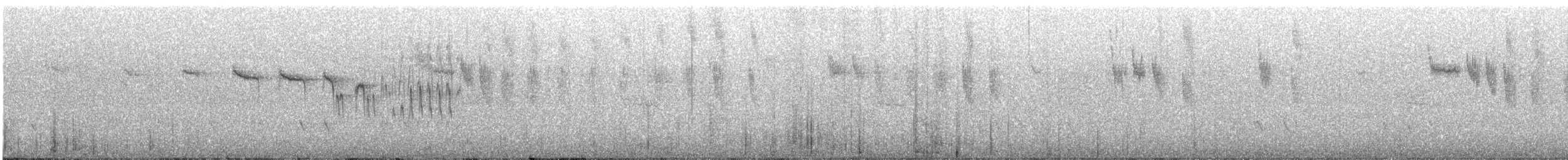 modropláštník západoaustralský - ML647875775