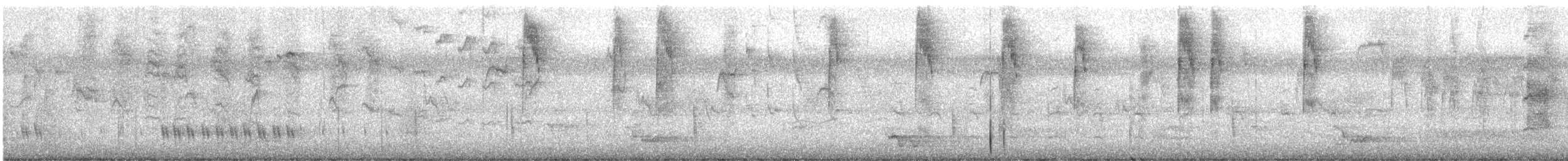 modropláštník nádherný - ML647875842