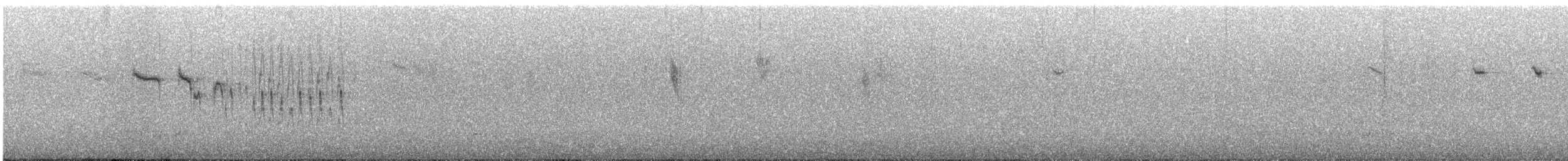 Red-winged Fairywren - ML647875956