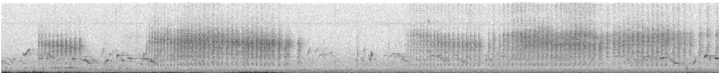 Common Iora - ML647876174