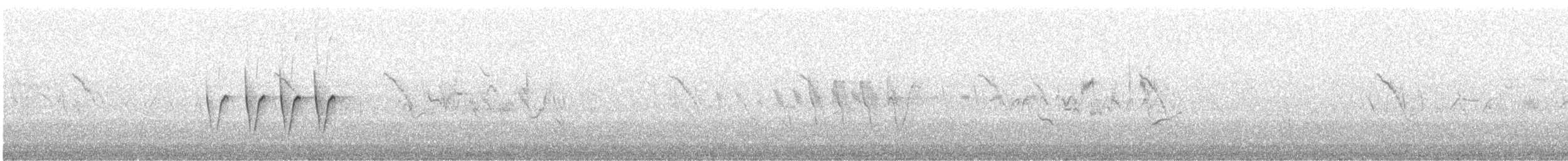 Dusky Warbler - ML647876292