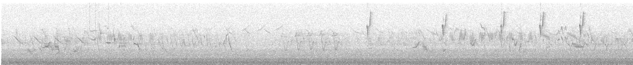 Common Chiffchaff (Siberian) - ML647876311