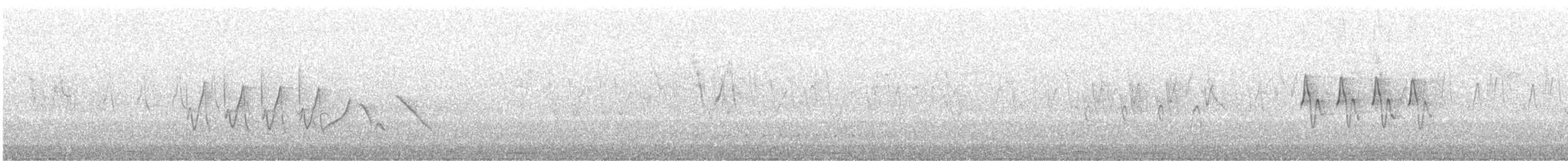 Bergeronnette grise (baicalensis) - ML647876373