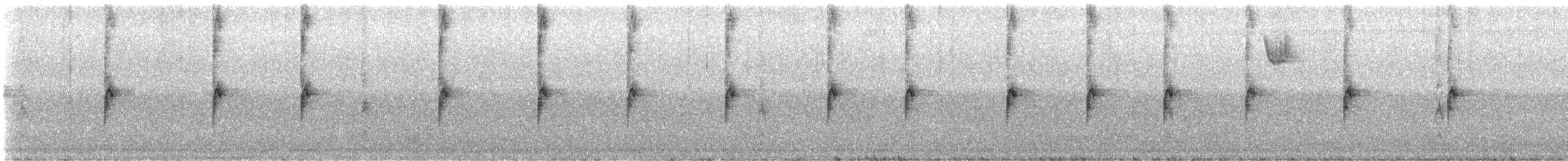 strnadec bělohrdlý - ML647876412