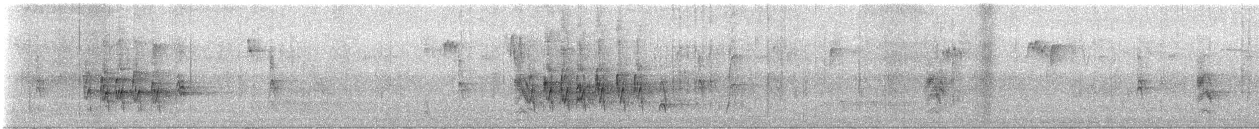 drozd stěhovavý - ML647876895