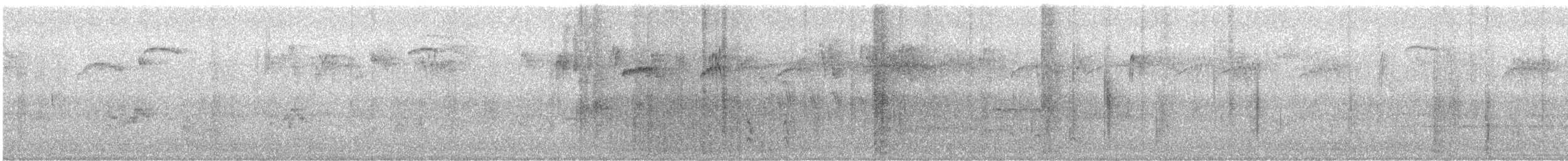 brkoslav americký - ML647876959