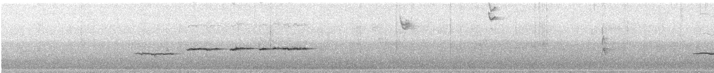 strnadec bělohrdlý - ML647877034