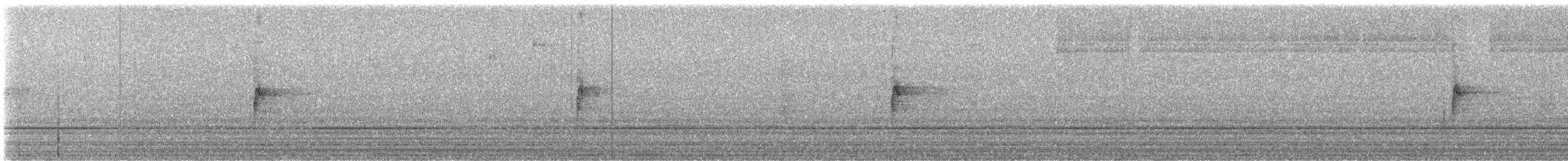 strnadec bělohrdlý - ML647877079