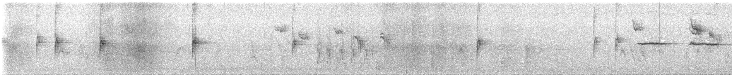 White-throated Sparrow - ML647877195