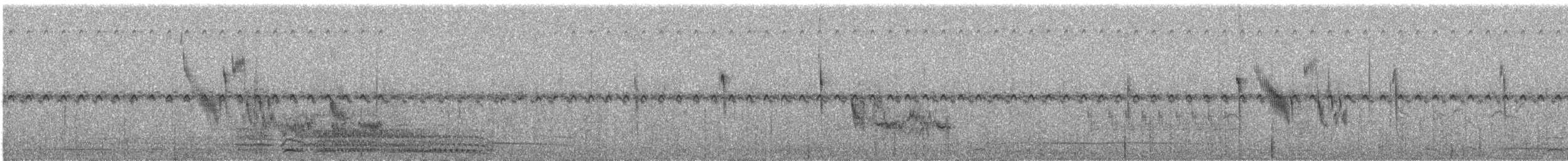 bird sp. - ML647877245