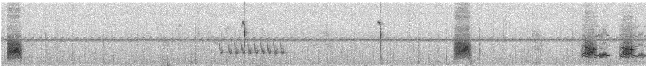 コガラパゴスフィンチ - ML647877278