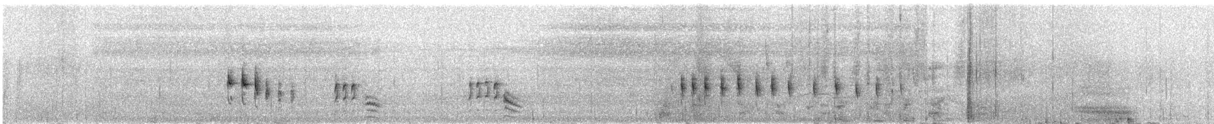 Galapagos Rail - ML647877298