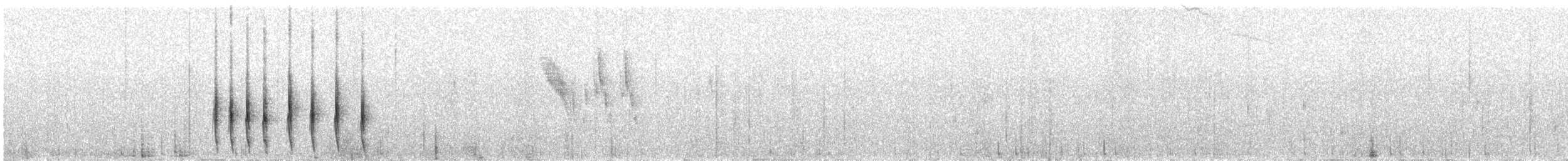 Galapagos Rail - ML647877299