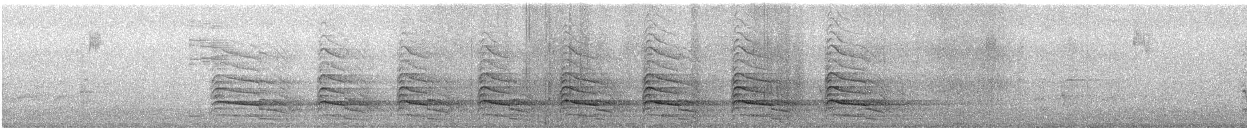 Red-shouldered Hawk (lineatus Group) - ML647877318