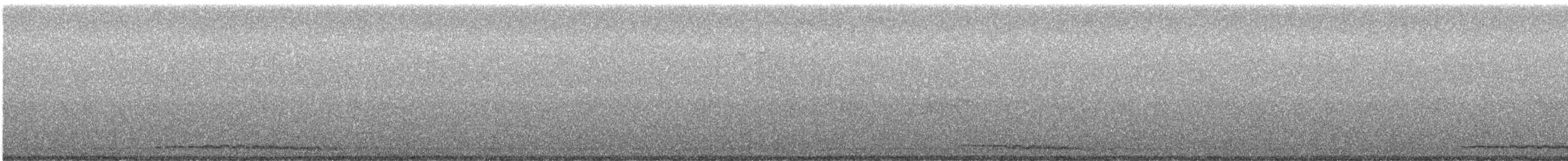 Eastern Screech-Owl - ML647877371