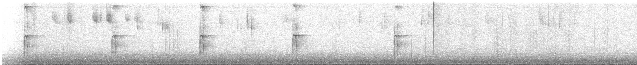 Hairy Woodpecker - ML647877442