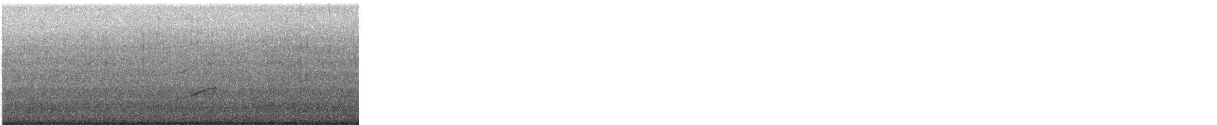 Semipalmated Plover - ML647877538