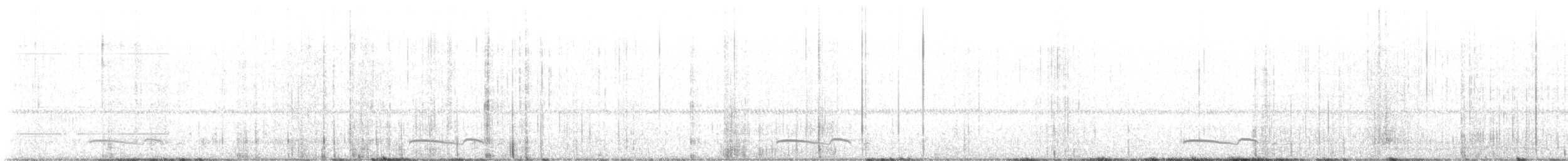 プアーウィルヨタカ - ML647878119